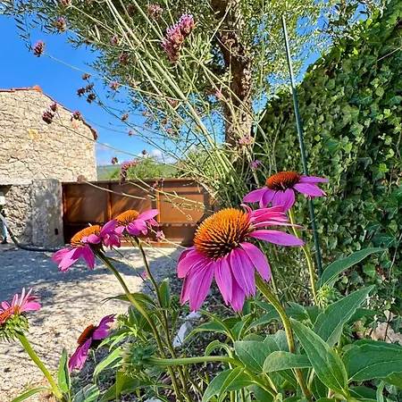 Country house Quintinha Do Sobrado Mendiga